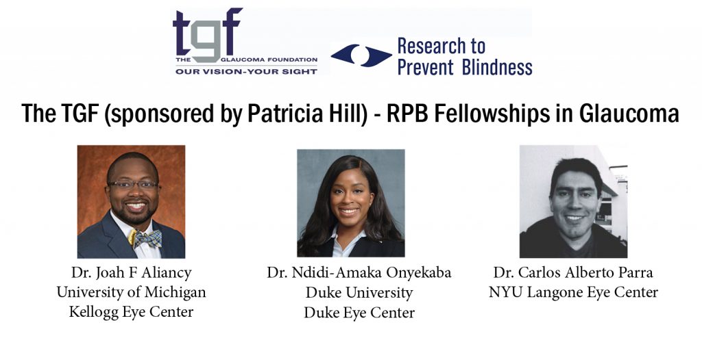 TGF-RPB Fellowships in Glaucoma