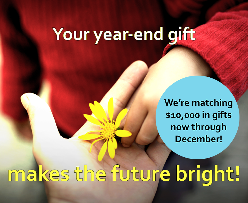 Home The Glaucoma Foundation